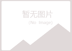 爱民区女孩设计有限公司